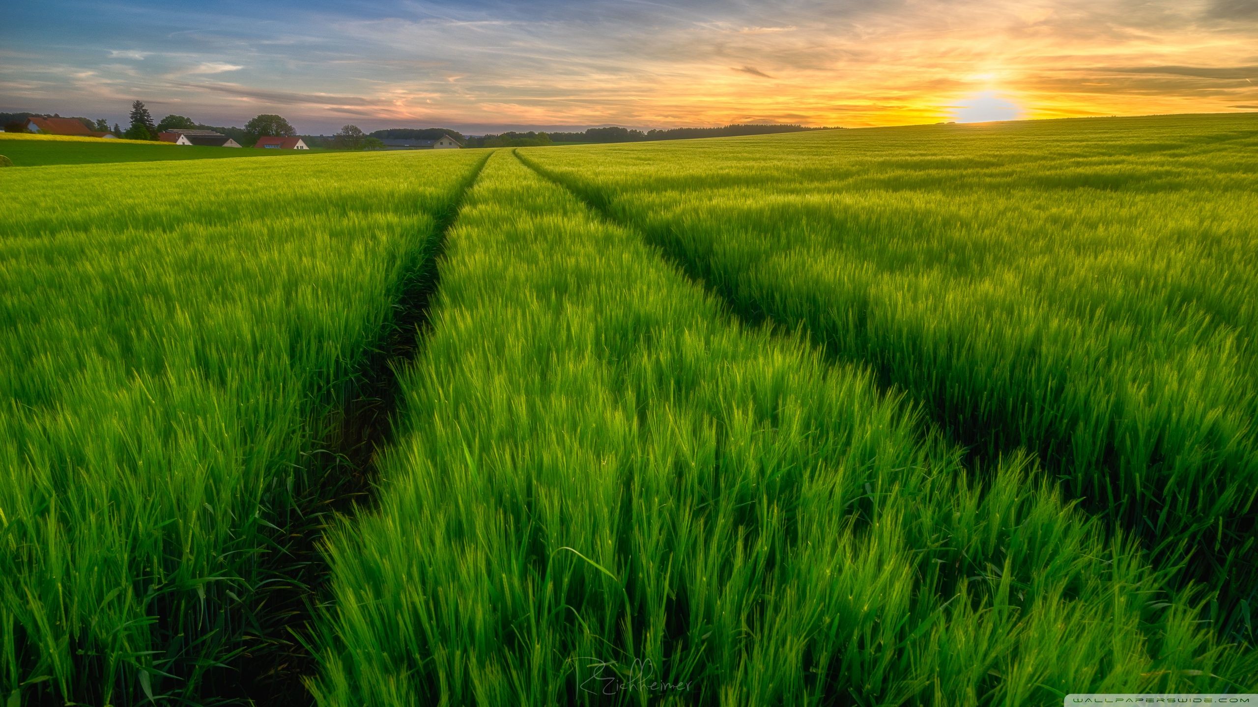 Agriculture